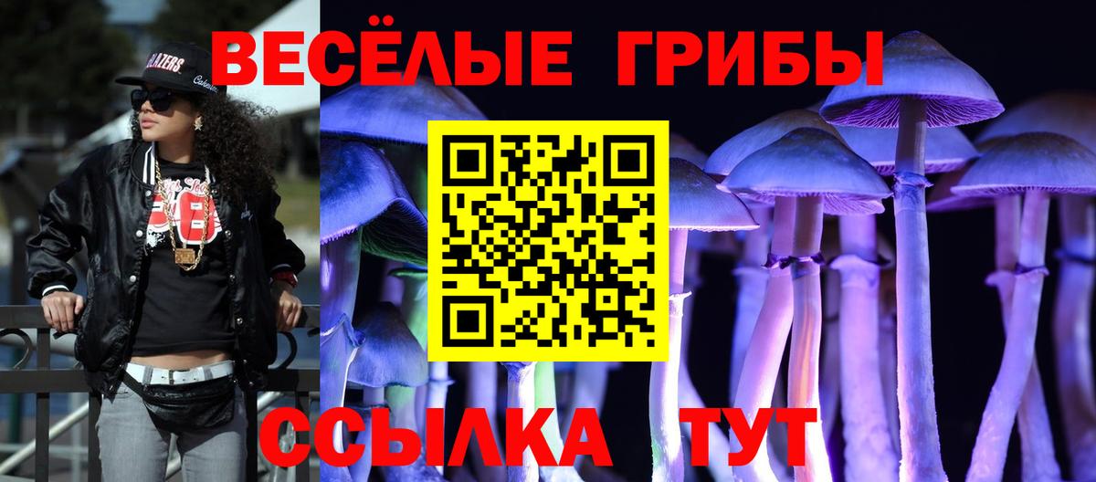 Псилоцибиновые грибы GOLDEN TEACHER Астрахань